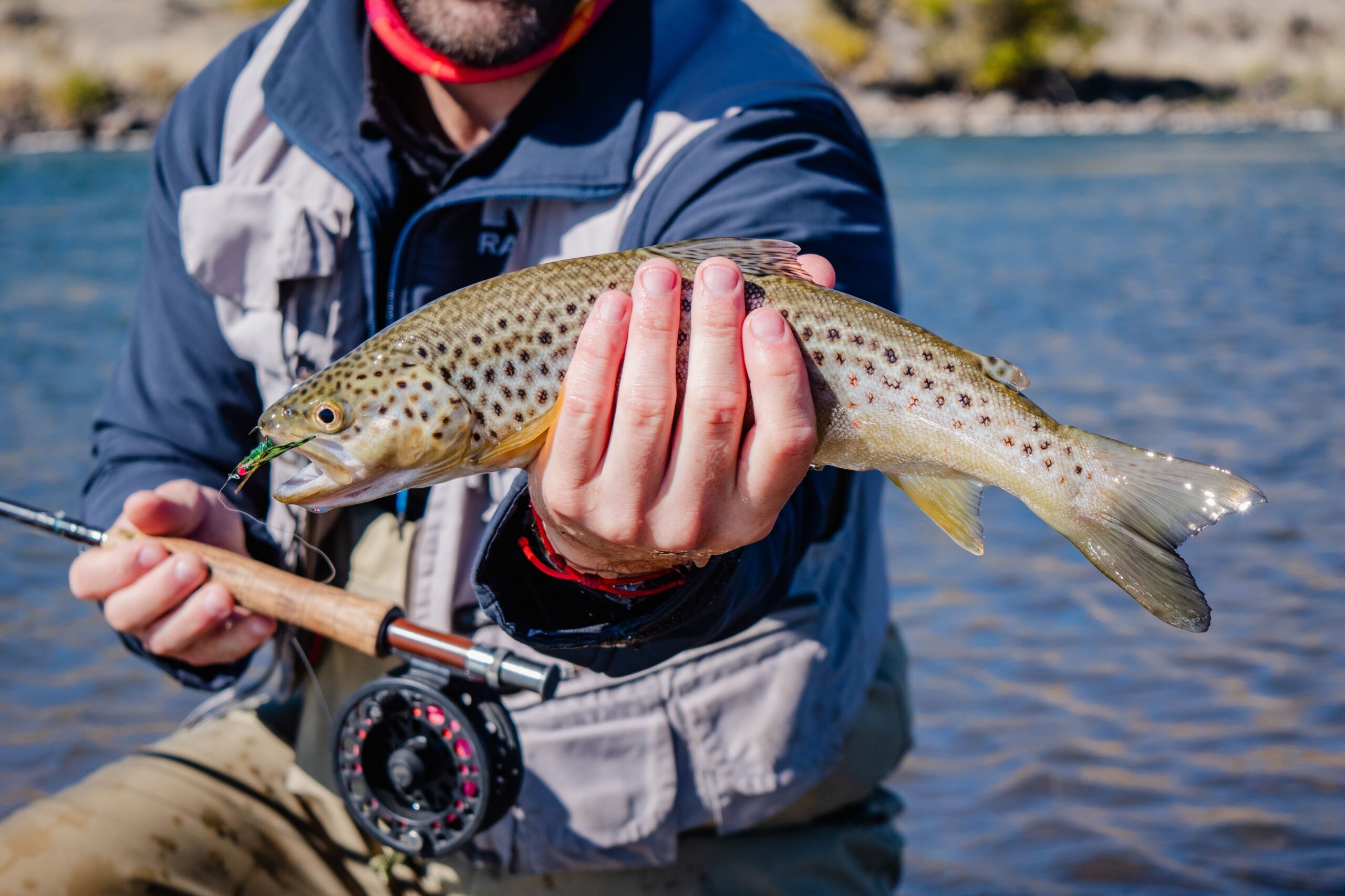 Pesca a mosca en España